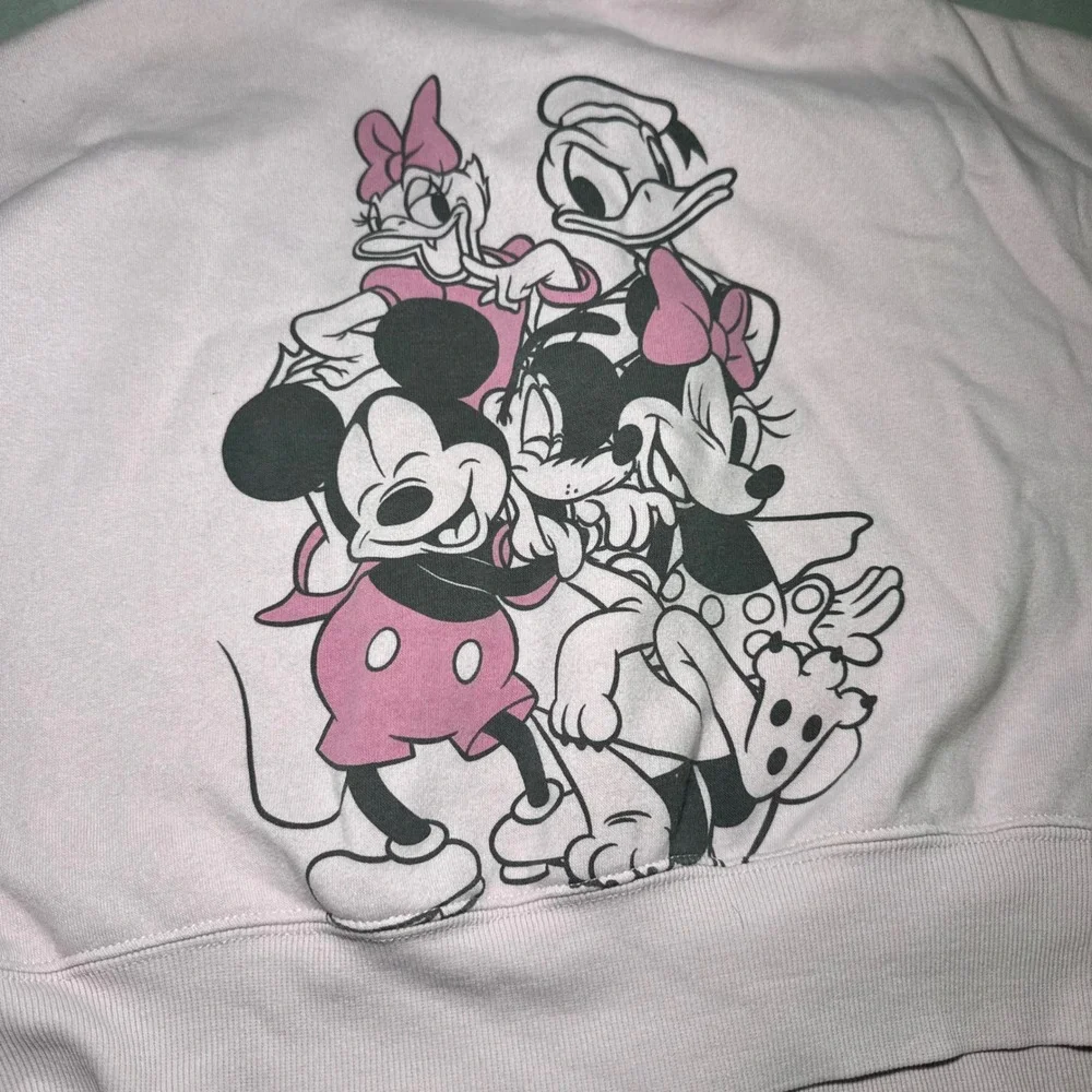Disney Mickey and Friends Girl's Pink Crop Zip Up Hoodie Character Graphic Large